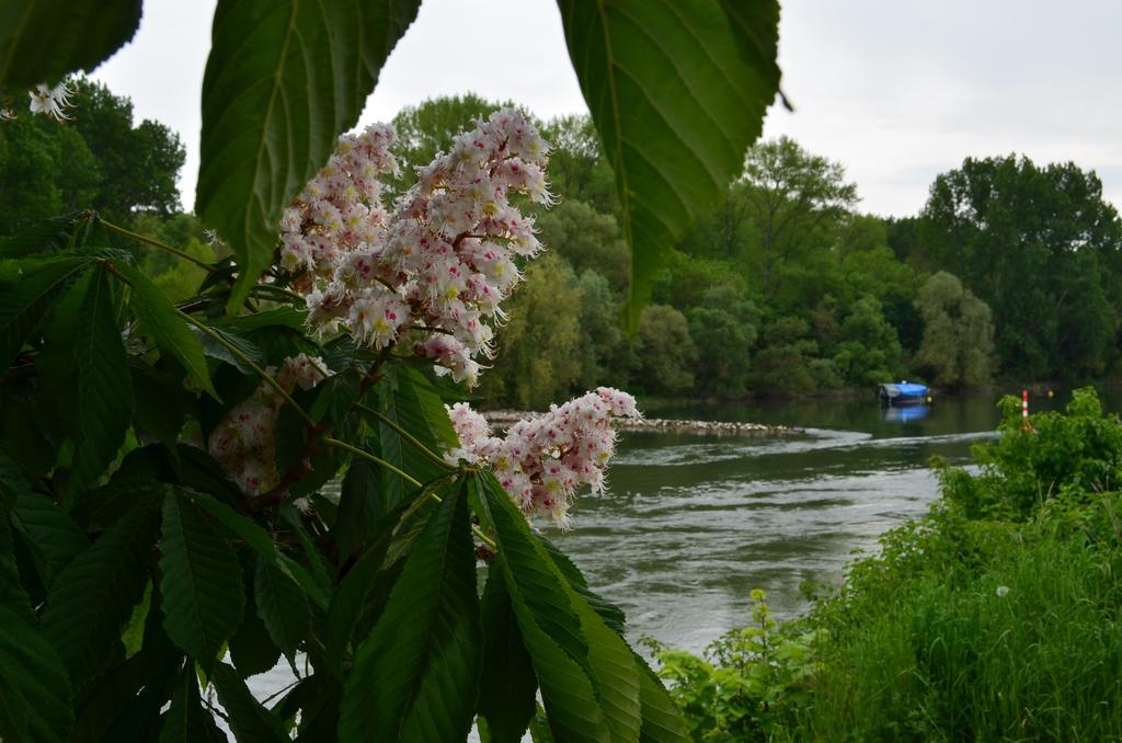 Zwei Raben Pension Mainz Luaran gambar