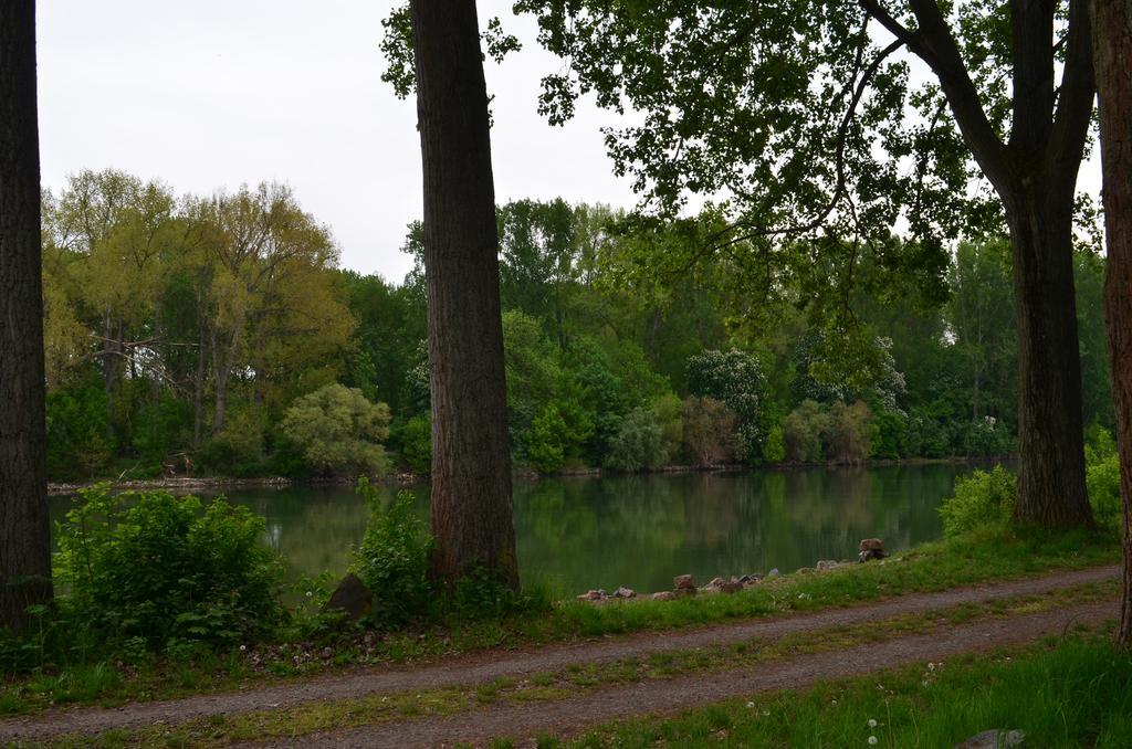 Zwei Raben Pension Mainz Luaran gambar