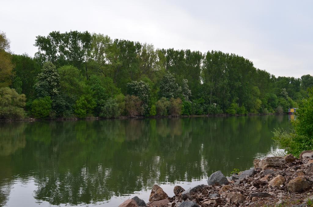 Zwei Raben Pension Mainz Luaran gambar