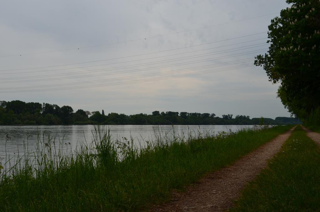 Zwei Raben Pension Mainz Luaran gambar