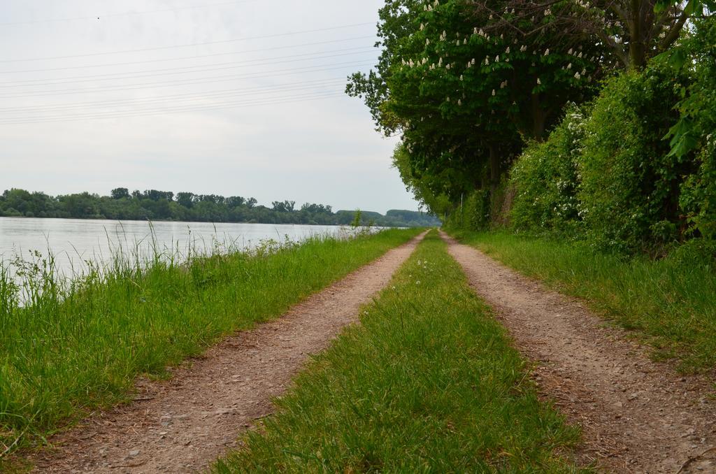 Zwei Raben Pension Mainz Luaran gambar