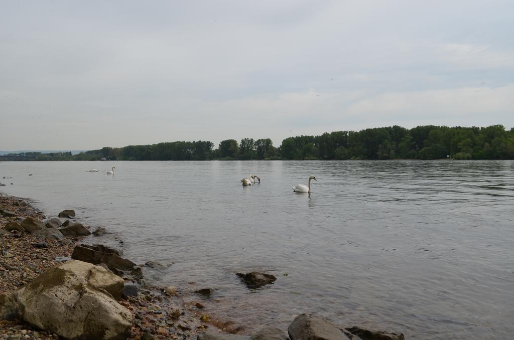 Zwei Raben Pension Mainz Luaran gambar