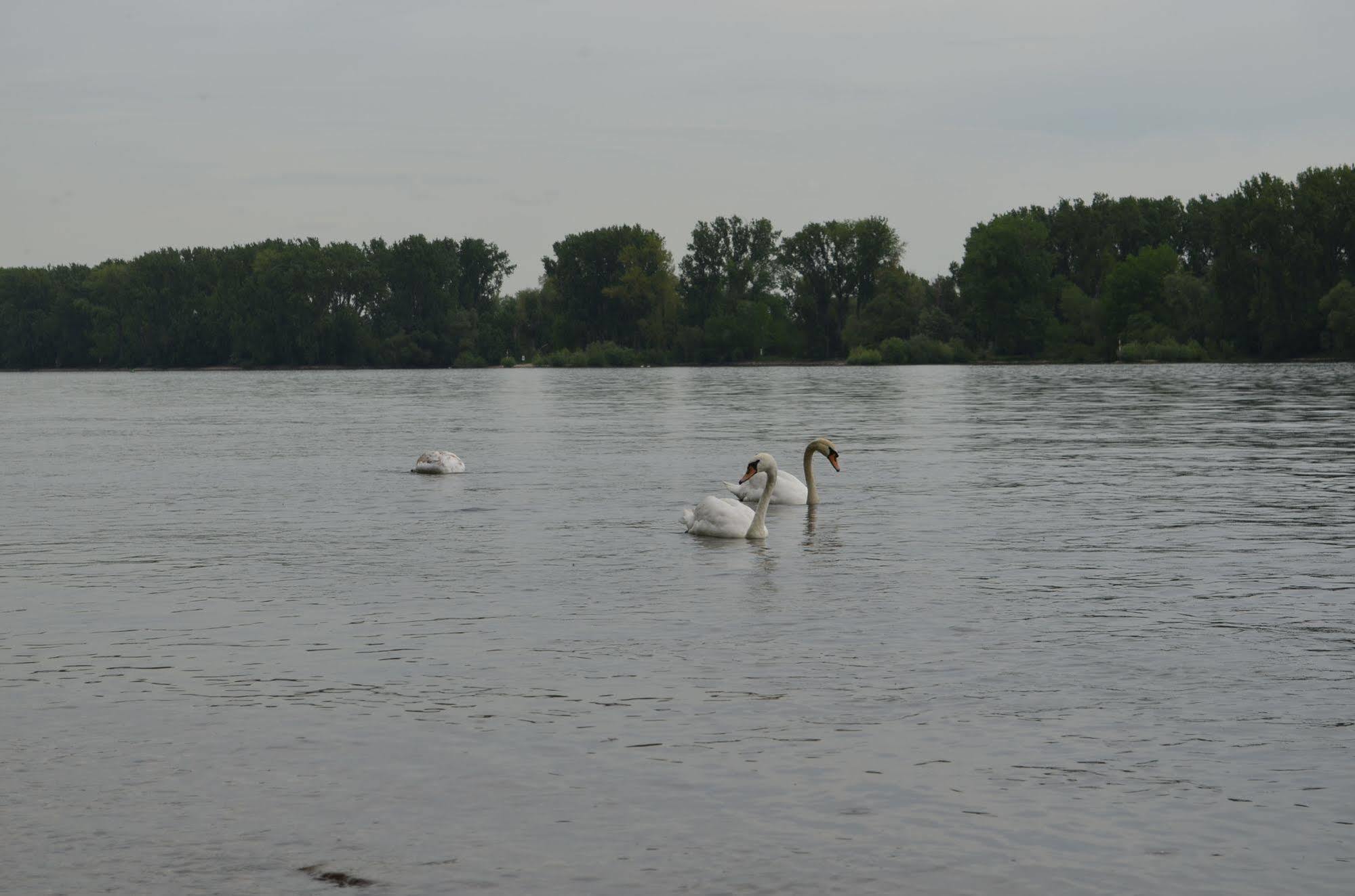 Zwei Raben Pension Mainz Luaran gambar