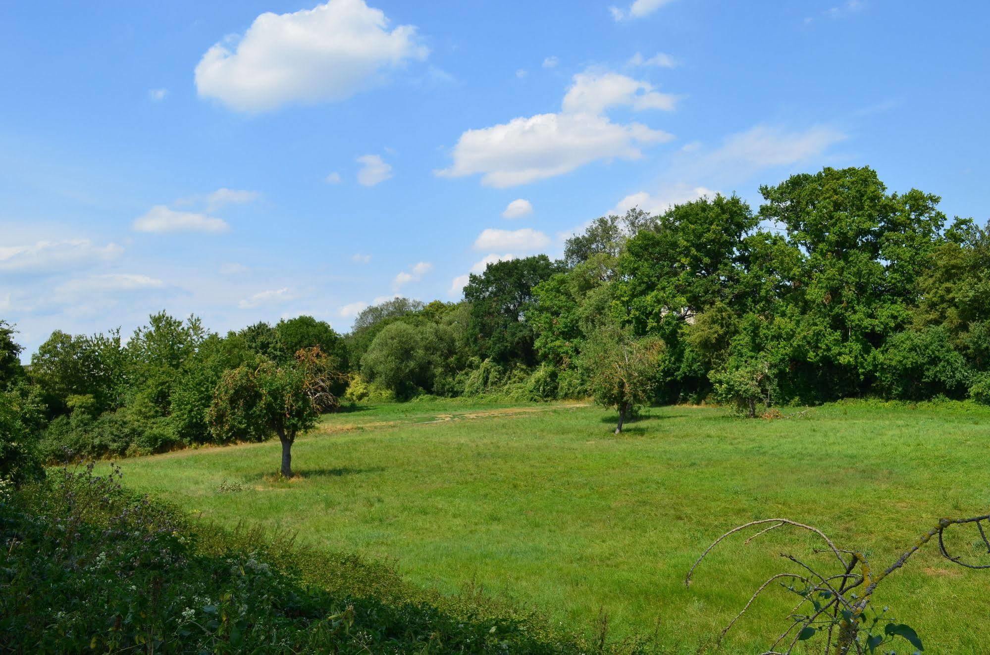 Zwei Raben Pension Mainz Luaran gambar